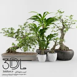 آبجکت گیاه 107 plant