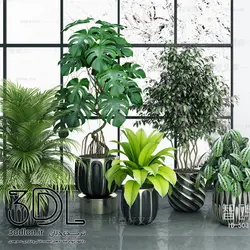 آبجکت گیاه 101 plant