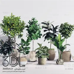 آبجکت گیاه 99 plant