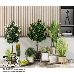 آبجکت گیاه 97 plant