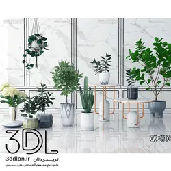 آبجکت گیاه plant 91