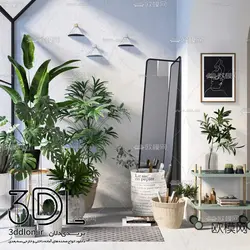 آبجکت گیاه plant 89