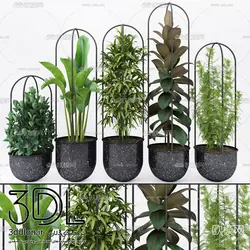 آبجکت گیاه plant 87