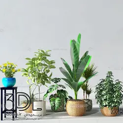 آبجکت گیاه plant 84