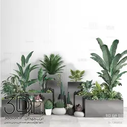 آبجکت گیاه plant 81