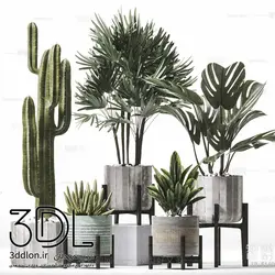 آبجکت گیاه plant 80