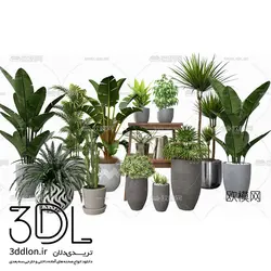 آبجکت گیاه plant 79