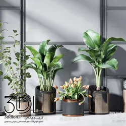 آبجکت گیاه plant 78