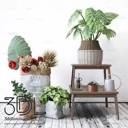 آبجکت گیاه plant 76