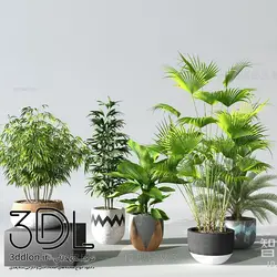 آبجکت گیاه plant 75