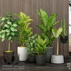 آبجکت گیاه plant 74