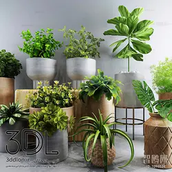 آبجکت گیاه plant 69