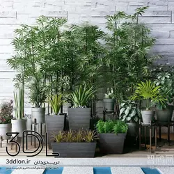 آبجکت گیاه plant 67