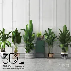 آبجکت گیاه -plant 66