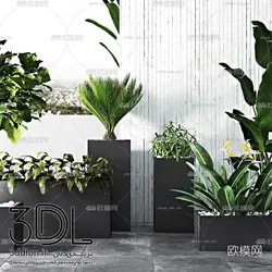 آبجکت گیاه -plant 65