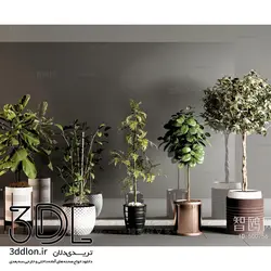 آبجکت گیاه -plant 62