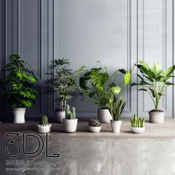 آبجکت گیاه -plant 61