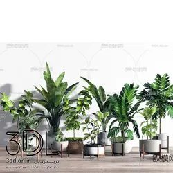 آبجکت گیاه -plant 58