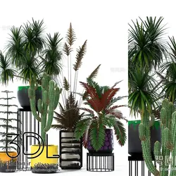 آبجکت گیاه -plant 56