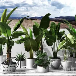 آبجکت گیاه -plant 55