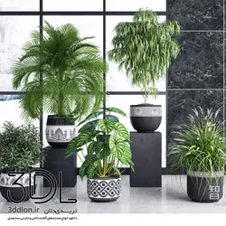 آبجکت گیاه -plant 53