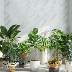 آبجکت گیاه -plant 52