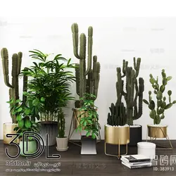 آبجکت گیاه -plant 50
