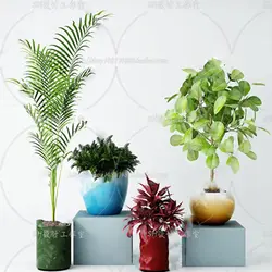 آبجکت گیاه -47 plant