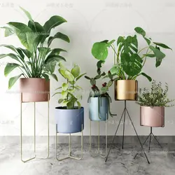 آبجکت گیاه -44 plant