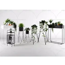 آبجکت گیاه -39 plant