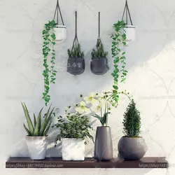 آبجکت گیاه -32 plant