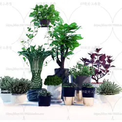 آبجکت گیاه -31 plant