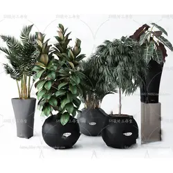 آبجکت گیاه -29 plant