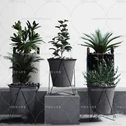 آبجکت گیاه -28 plant