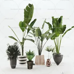 آبجکت گیاه -26 plant