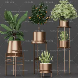 آبجکت گیاه -25 plant