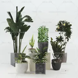 آبجکت گیاه -24 plant