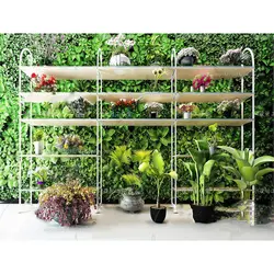 آبجکت گیاه -23 plant