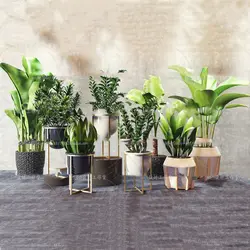 آبجکت گیاه -22 plant