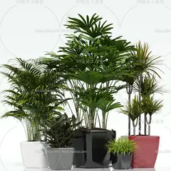 آبجکت گیاه -20 plant