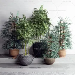 آبجکت گیاه -18 plant