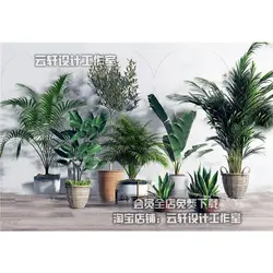 آبجکت گیاه -17 plant