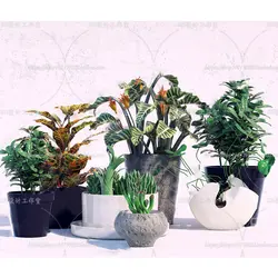 آبجکت گیاه -16 plant