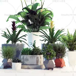 آبجکت گیاه -14 plant