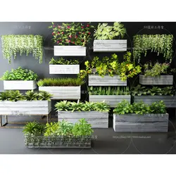 آبجکت گیاه -11 plant