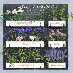 آبجکت گیاه -10 plant