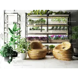 آبجکت گیاه -08 plant