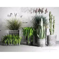 آبجکت گیاه -07 plant