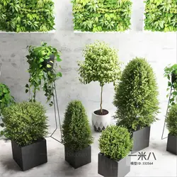 آبجکت گیاه -02 plant