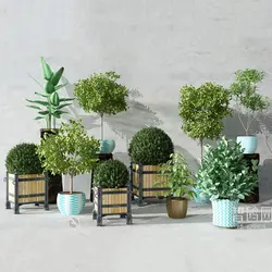 آبجکت گیاه -01 plant